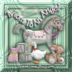 If you are a Mom to an Angel and would like one of these for your web page just email me and type into the subject line Mom To An Angel, there is no link required just don't claim as your own I made this with all Angels in mind.  Thank You